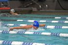 Swimming & Diving vs Babson  Swimming & Diving vs Babson College. - Photo by Keith Nordstrom : Wheaton, Swimming